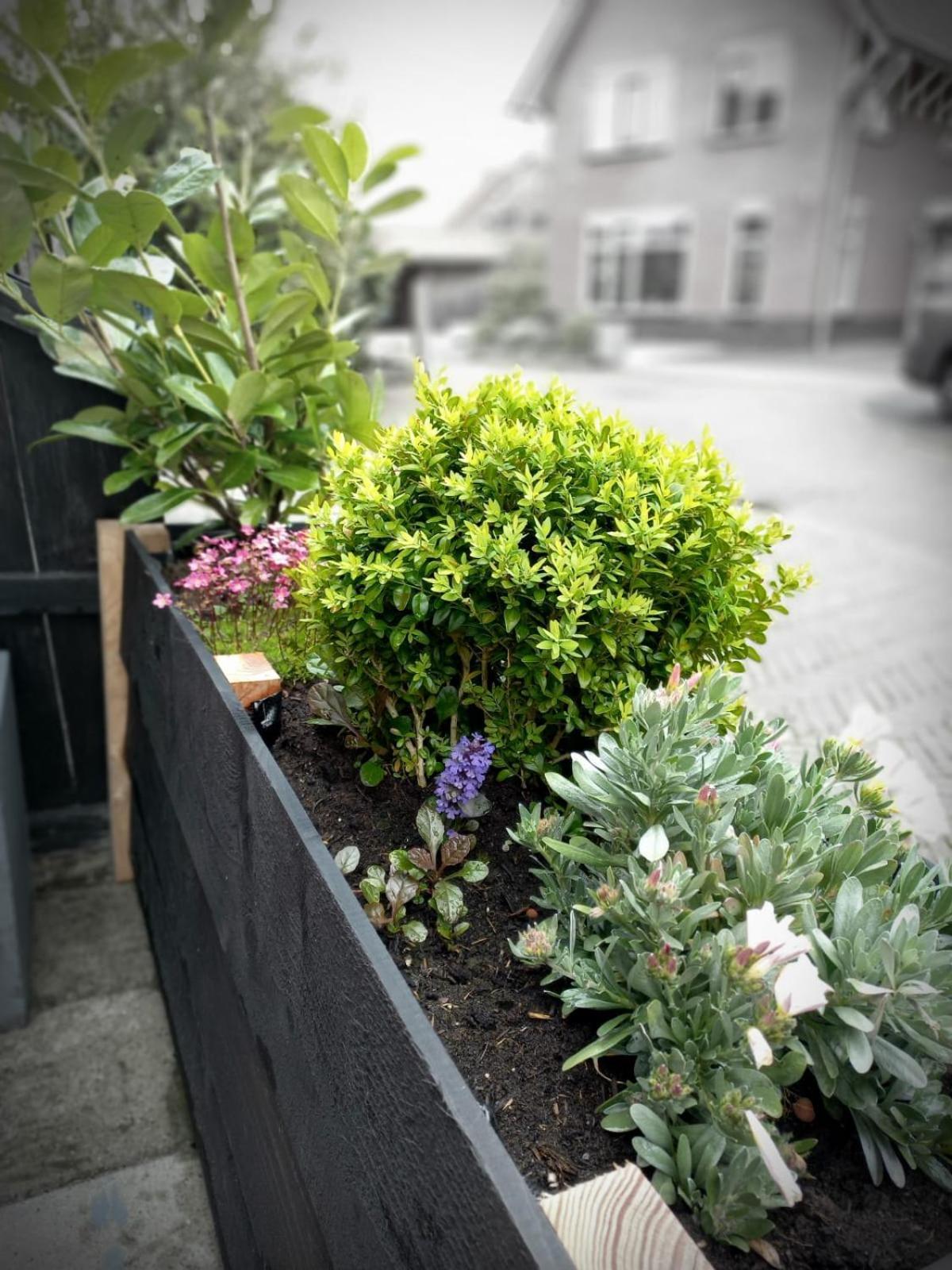 Bed & Breakfast De Schans Makkum Esterno foto